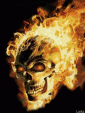 Flame skull-351497