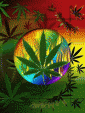 Weed-116125